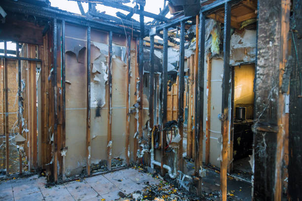 Professional Fire Damage Cleanup technician working in Randolph, WI